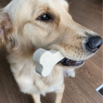 caadoog Osso in feltro, gioco per cani naturale e divertente Made in Italy
